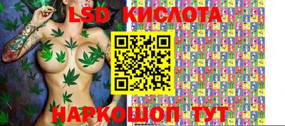 индика Будённовск