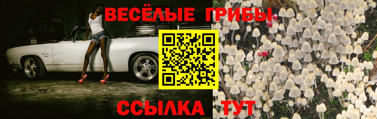 Псилоцибиновые грибы мицелий  Вход с VPN  Кудрово  Галлюциногенные грибы Psilocybine cubensis 