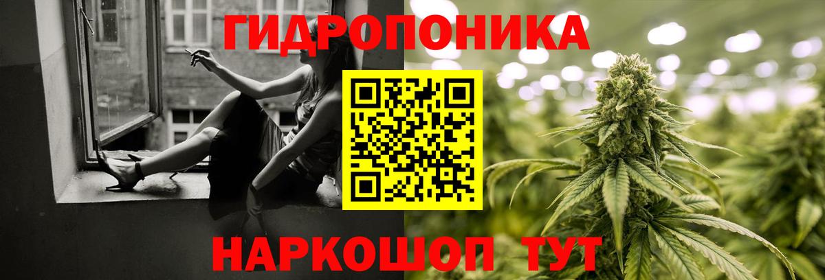 МАРИХУАНА Ganja Кудрово